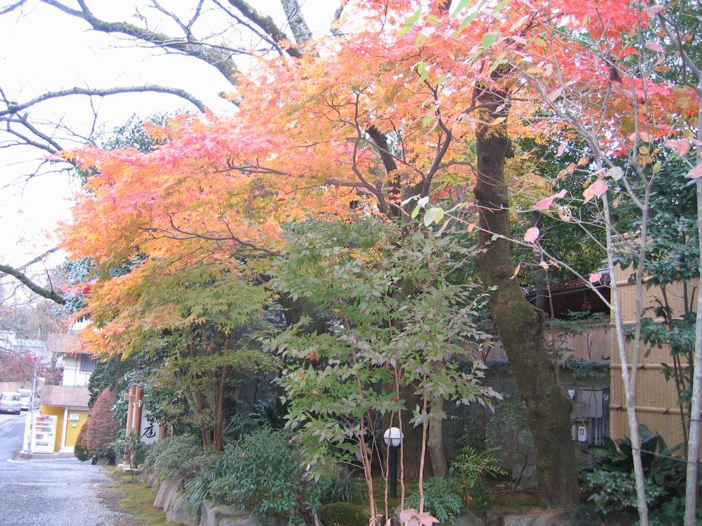 Hotel Gyokutei Hakone Exterior foto