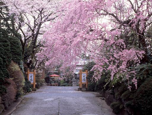 Hotel Gyokutei Hakone Exterior foto