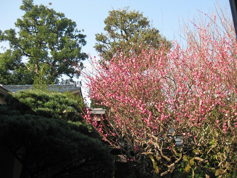 Hotel Gyokutei Hakone Exterior foto